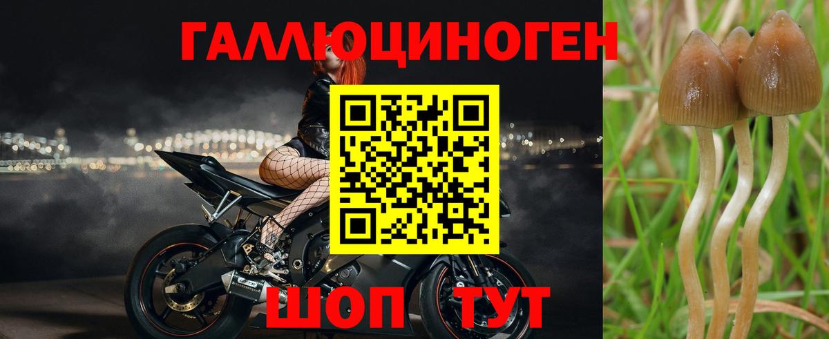 Галлюциногенные грибы Psilocybine cubensis  Вход с VPN  Лабытнанги 